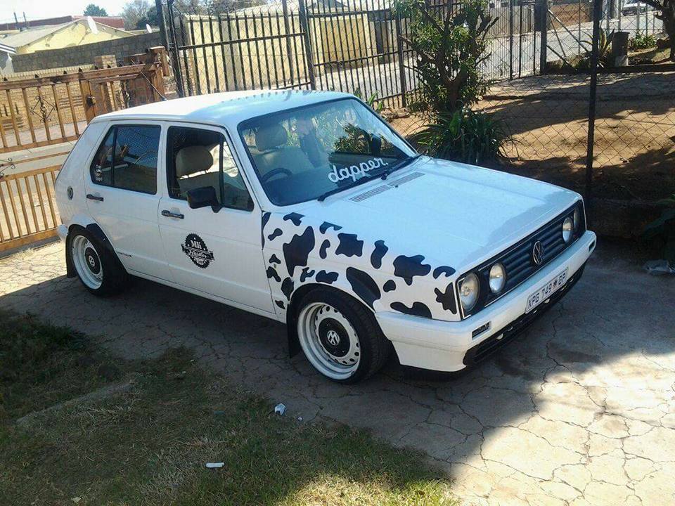 VW Golf Cow-Print Wrap